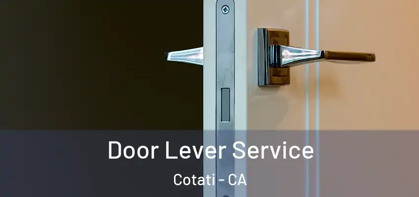 Door Lever Service Cotati - CA