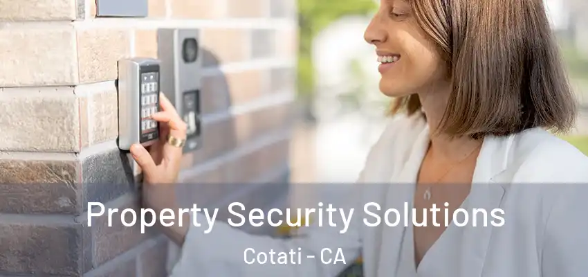 Property Security Solutions Cotati - CA